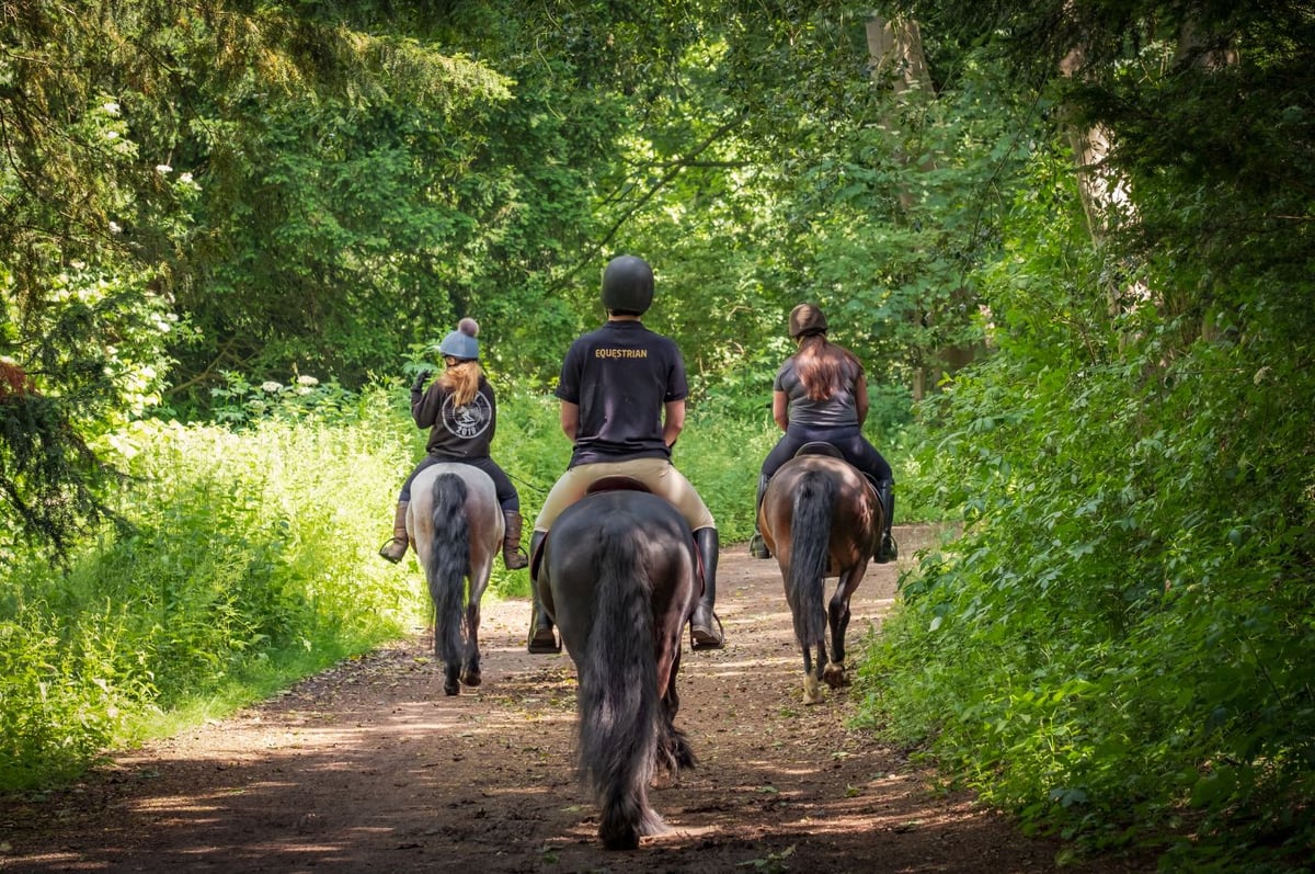 Horse riders