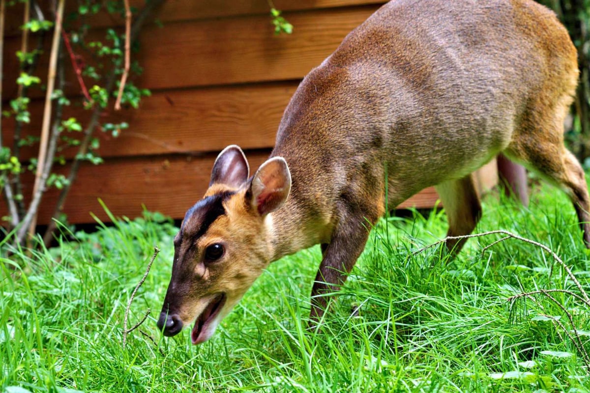 Invasive and expensive - what can we do?