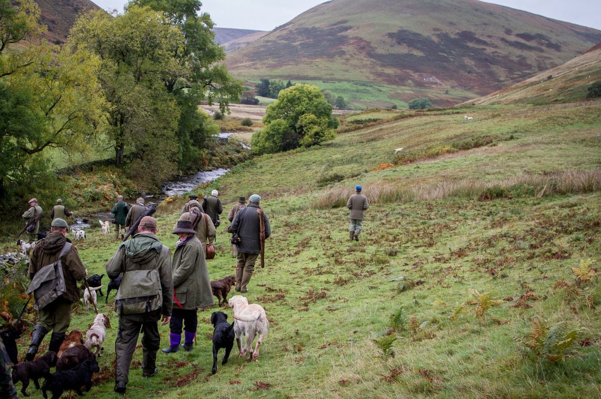 Langholm Estate