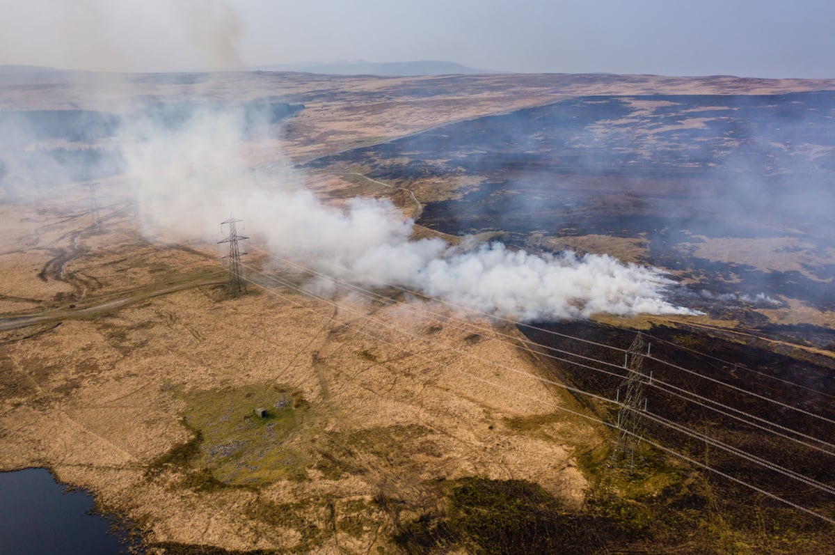 Wildfire aerial_July 2026_1400X930px